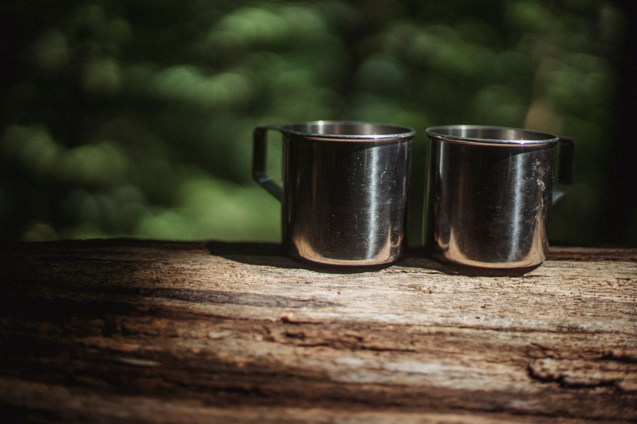 about-01 Identical shiny hiking mugs on fallen tree trunk with rough bark in summer forest